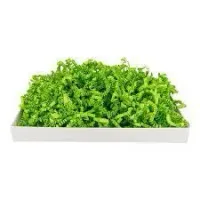 Sizzlepack Lime Green