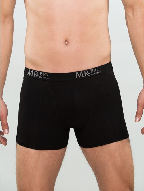 Boxeri bumbac clasici mr. big 201