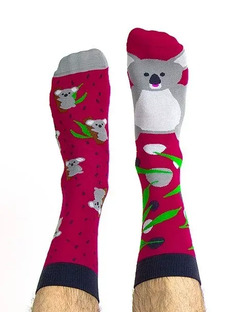 Sosete colorate Nanushki Lala Koala
