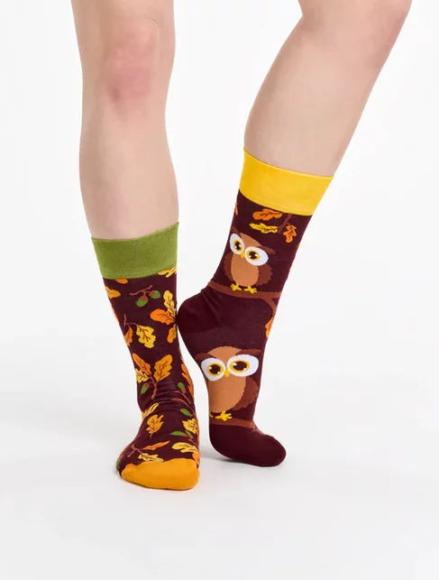 Sosete colorate cu bufnita Dedoles Curious Owl