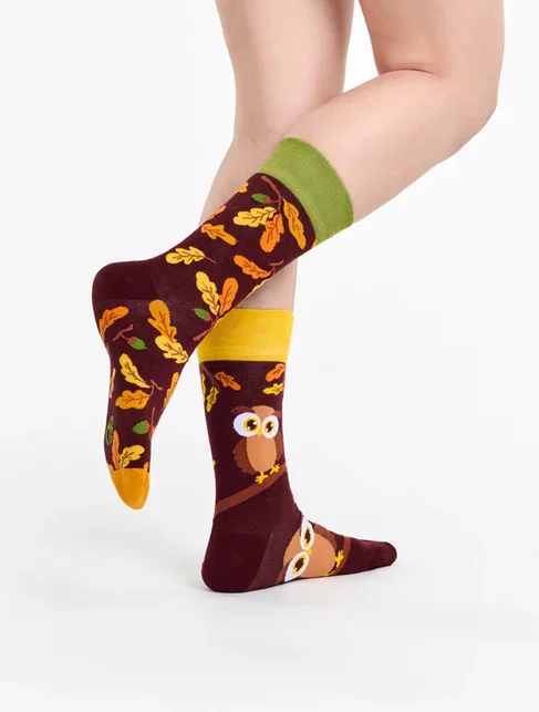 Sosete colorate cu bufnita Dedoles Curious Owl