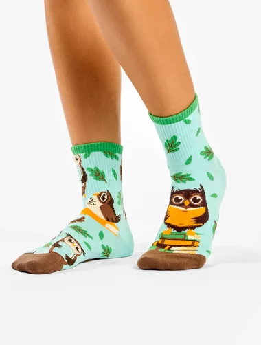 Sosete colorate cu bufnita Dedoles Owl & Books