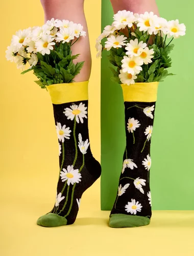 Sosete colorate cu margarete Dedoles Daisies at Night