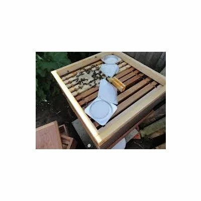 Apiguard gel picture - 2