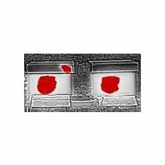 BeeWatch Thermo picture - 4