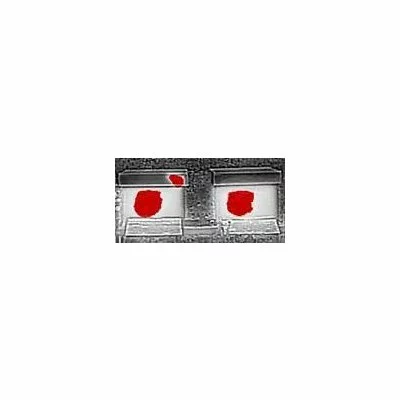 BeeWatch Thermo picture - 4