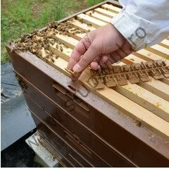 Clema centrare Nicot picture - 3