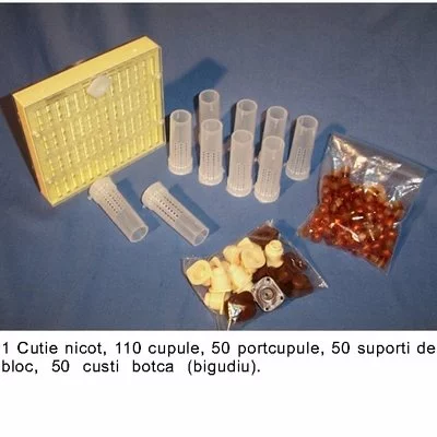 Cutia Nicot 50 matci - Training Video Gratuit picture - 2