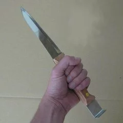 Cutit apicol cu dalta picture - 3