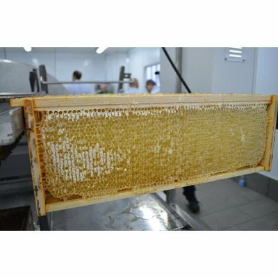 Linie profesională extracție miere cu descăpăcire patentată cu cuțite triunghiulare, macara premium, deboxer și extractor 90 rame cu umeraș – Delta Plus, Thomas picture - 7