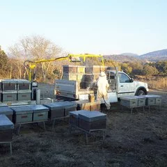 Macara apicola cu brat 3,63 m incarcatura maxima la varf 80kg picture - 5