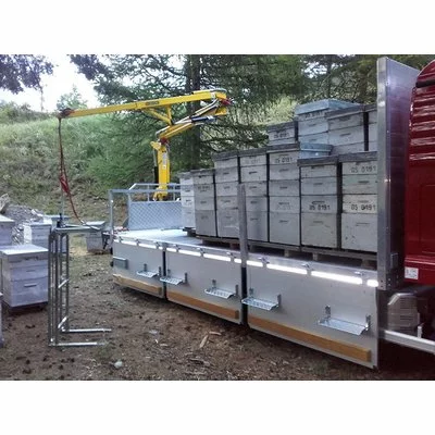 Macara apicola cu brat 4,9 m incarcatura maxima la varf 200kg picture - 2