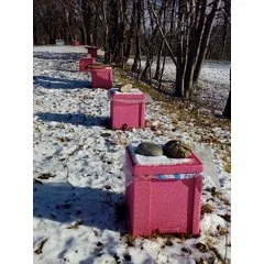 Nucleu imperechere polipropilena expandata QUEEN-B picture - 9