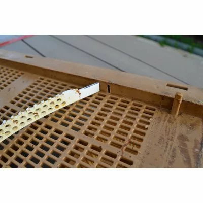 Placa activa Nicot picture - 2