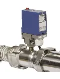 Presostat de securitate pentru filtru tubular simplu Thomas picture - 1