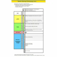 Cutia Nicot original neechipata - Training Video Gratuit picture - 7