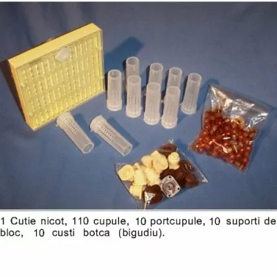 Cutia Nicot 10 matci - Training Video Gratuit picture - 2
