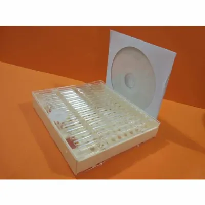 Cutia Nicot original neechipata - Training Video Gratuit picture - 1