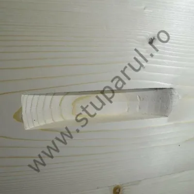 Stup Stuparul.Ro MER 10R CLASIC picture - 3