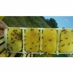 Set 4 rame miere in sectiuni asamblabile picture - 8