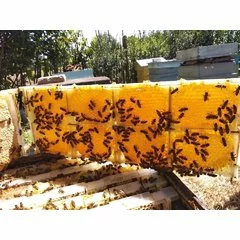Set 8 rame mici miere in sectiuni asamblabile