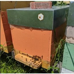 Set magneti apicoli pentru stupina medie