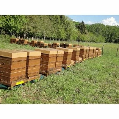 Stupi plastic NICOT picture - 3