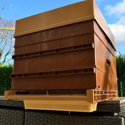 Tavita colector polen Nicot picture - 2