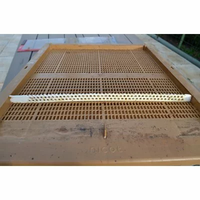 Tavita colector polen Nicot picture - 8