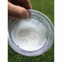 Tester Varroa 3 in 1 picture - 3