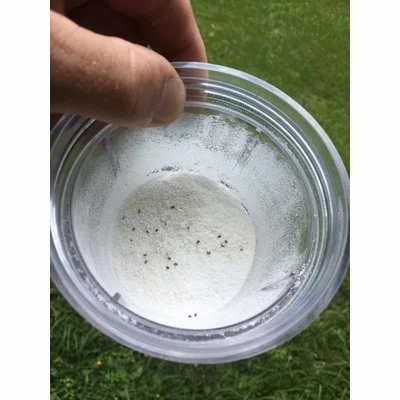 Tester Varroa 3 in 1 picture - 3